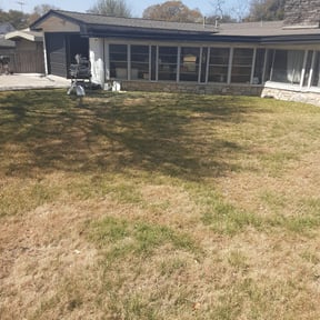 Leaf Removal by Salvador Lawn and Tree Service reviewed on June 24, 2025