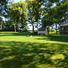 grass maintenance by American Dream Lawn and Services reviewed on August 20, 2025