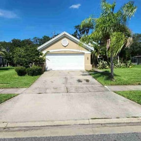 yard maintenance by Orange County Lawn Care reviewed on August 15, 2025