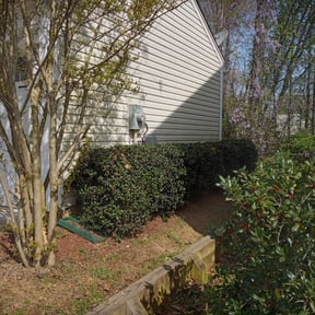 Bush Trimming by Elysian Lawn Care LLC reviewed on August 21, 2025