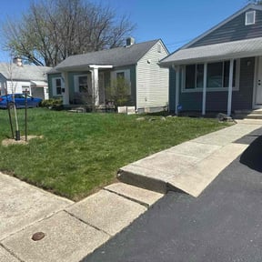 Leaf Removal by Cooper and pals reviewed on September 21, 2025