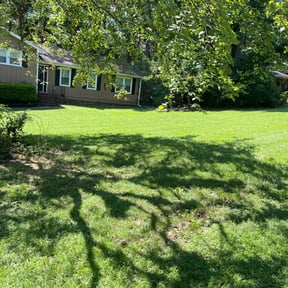 yard service by Lawn Dons A Service Company reviewed on August 21, 2025