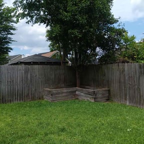 Tree Care by B & G Lawn Care reviewed on August 14, 2025