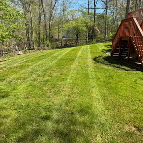 yard maintenance by Amie's Clean Cut Lawns and More reviewed on August 15, 2025