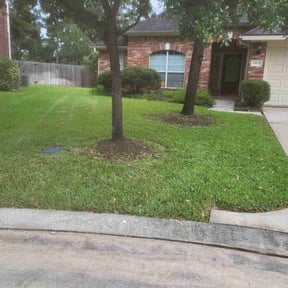 residential landscaping by New Heights LawnCare reviewed on August 17, 2025