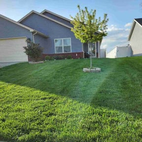 yard maintenance by Lawn Guys reviewed on August 21, 2025