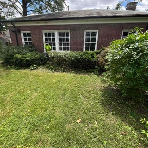 Bush Trimming by Universal lawnscaping reviewed on August 16, 2025