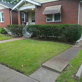 Bush Trimming by Towery's Lawn Care reviewed on May 11, 2026