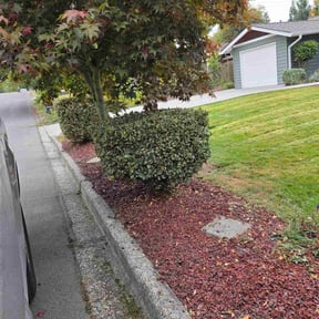 Bush Trimming by Js Lawn Care reviewed on December 3, 2025