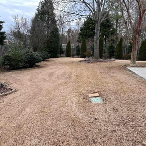 Leaf Removal by J and J lawn care service reviewed on September 20, 2025