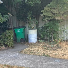 Bush Trimming by Lawn Busters LLC reviewed on August 21, 2025