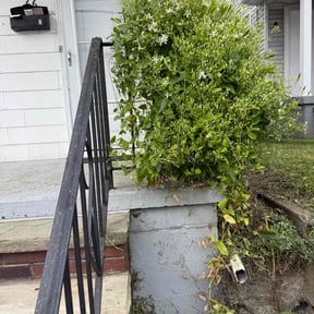 Bush Trimming by OG lawn services reviewed on November 24, 2025