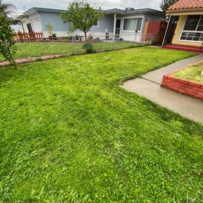 lawn maintenance by Tikitiki Garden Service reviewed on April 12, 2025