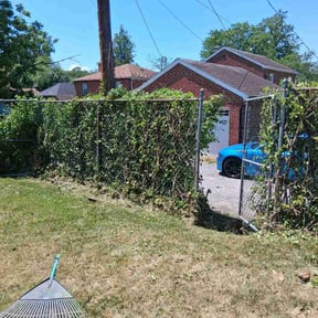 Bush Trimming by Lawns Murcia Landscaping reviewed on May 19, 2026