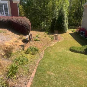 Bush Trimming by Scipio landscaping and maintenance reviewed on March 1, 2023