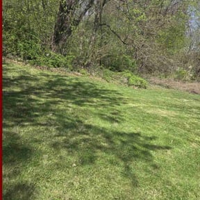turf care by RWF lawn service reviewed on April 19, 2024