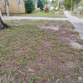Leaf Removal by EP Remodeling LLC reviewed on June 1, 2026
