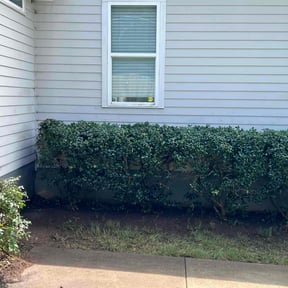 Bush Trimming by PJ’s Lawn care reviewed on August 20, 2025