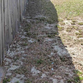 Leaf Removal by F&amp;J Scott Landscaping LLC reviewed on September 11, 2025