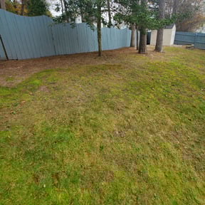 Leaf Removal by Affordable Lawn Care &amp; Power Washing reviewed on September 7, 2025