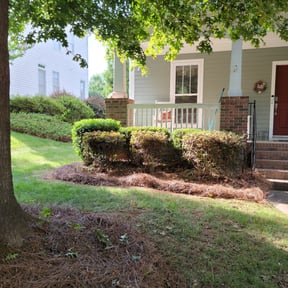 Bush Trimming by Lexi's Landscaping reviewed on August 14, 2025