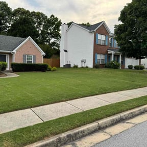 yard care by Conner Meadows reviewed on August 18, 2025