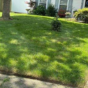grass maintenance by Rick's landscaping & construction llc reviewed on May 2, 2024