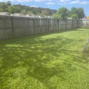 lawn maintenance by Alfaro’s Lawncare reviewed on July 3, 2021