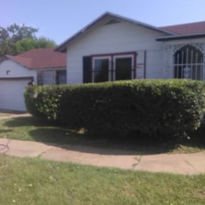 Bush Trimming by DT Lawn Care reviewed on August 20, 2025