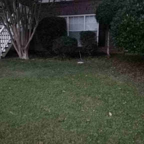 Bush Trimming by Fresh cuts lawn service reviewed on August 18, 2025