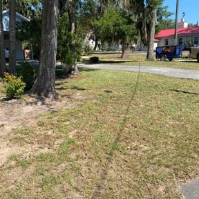 Leaf Removal by Estradasphere, LLC reviewed on September 20, 2025