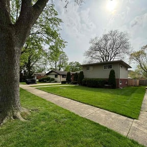 yard work by Lamberts Lawn trim and maintenance reviewed on August 18, 2025