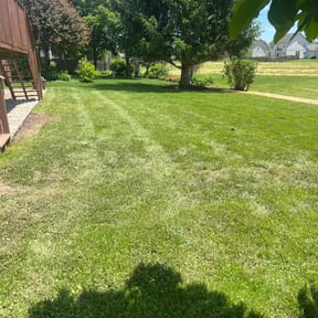 yard care by J&S Landscaping reviewed on August 15, 2025