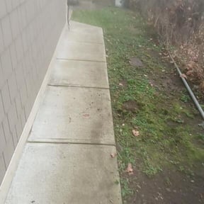 Leaf Removal by J&amp;amp;E LAWN CARE reviewed on October 1, 2025