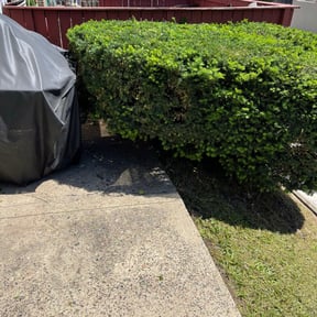 Bush Trimming by Hooper House LLC reviewed on August 19, 2025