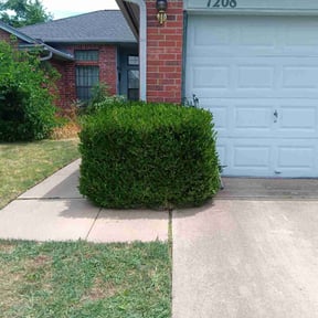 Bush Trimming by EECO SERVICES LLC reviewed on August 18, 2025