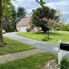yard care by Trash Cupid Rental reviewed on August 17, 2025