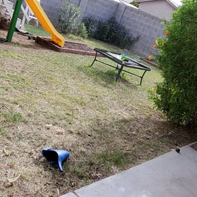 Bush Trimming by Caesar’s Premier Landscaping reviewed on August 18, 2025