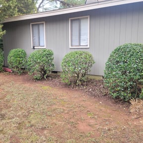 Bush Trimming by Lawn Concierge Services or LCS reviewed on April 23, 2025