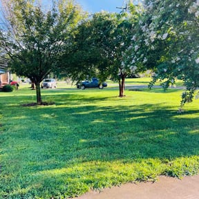 yard care by Igolawncare reviewed on August 20, 2025