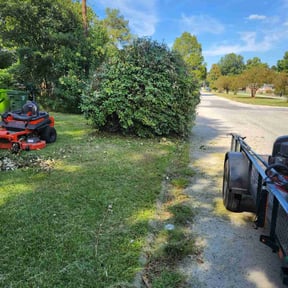 Bush Trimming by Unique landscape reviewed on May 14, 2024