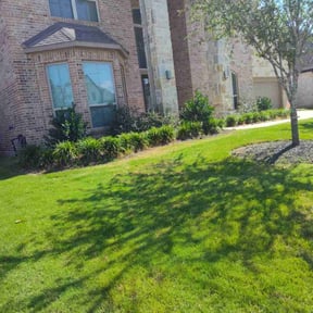 landscaping by Not on my watch 2.0 reviewed on November 27, 2025