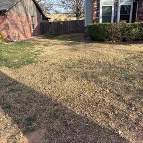 Leaf Removal by Better Dash Group LLC reviewed on January 1, 2026