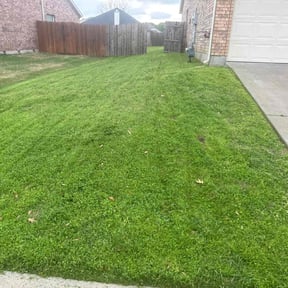 turf maintenance by Grass Care By the Beach reviewed on July 1, 2023