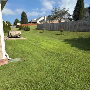 landscaping by Big Al’s Lawn Care reviewed on August 17, 2025