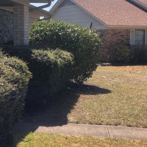 Bush Trimming by Jackson's Lawn care reviewed on August 19, 2025