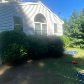 Bush Trimming by Mr.Carter&#039;s Landscaping reviewed on August 19, 2025