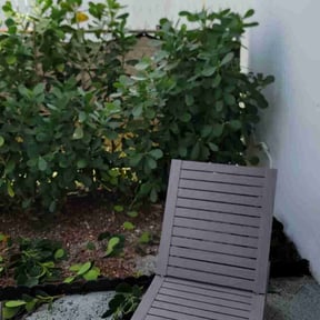 Bush Trimming by F&M LAWNCARE reviewed on August 20, 2025