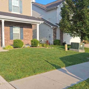 gardening service by This & That reviewed on August 15, 2025