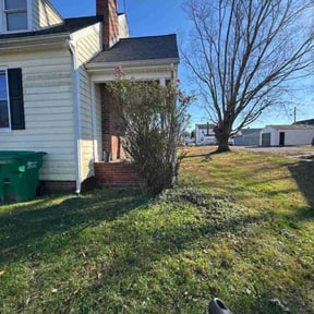 Bush Trimming by Hugheslandscaping reviewed on October 20, 2025